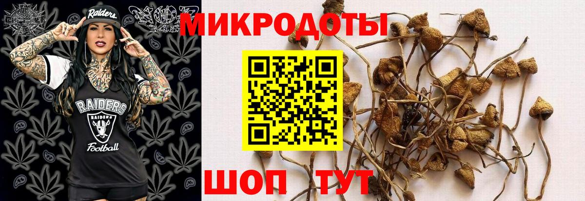 где найти наркотики  Псилоцибиновые грибы ЛСД  Кострома  Вход с VPN  Псилоцибиновые грибы ЛСД 